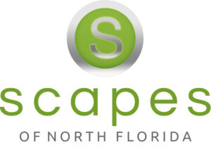 SCAPES-LOGO